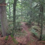 Der "Speedtrap" Trail in Wartenberg