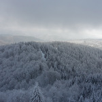 Winterwald im Harz