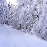 snowride trails