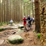 mtb training mit trailtech im harz