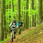 mtb trails südharz