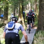 holzelemente im bikepark