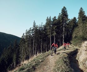 emtb-einsteigertour-harz zwei ebiker auf schönem trail im harz