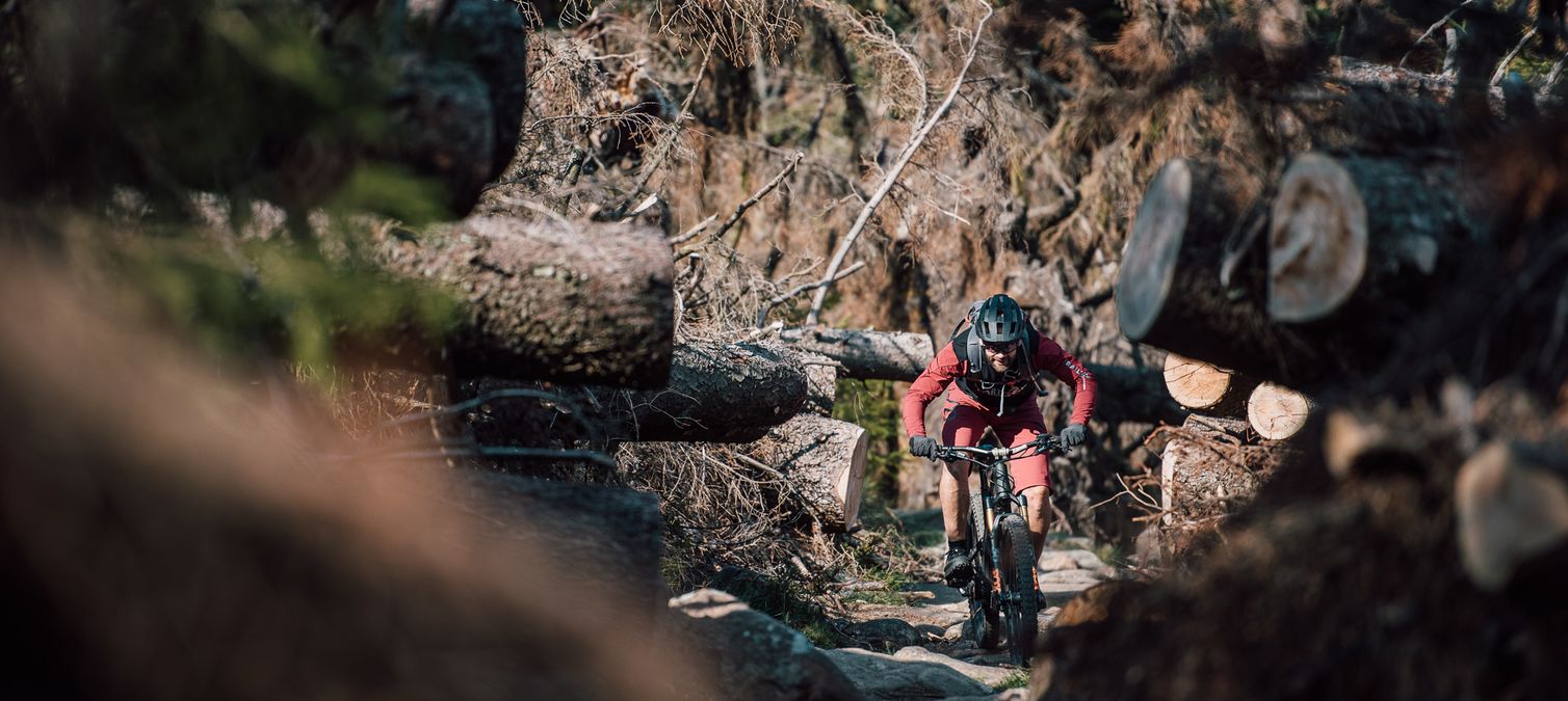 mountainbike-abenteuer-im-harz ein mountainbiker zwischen dicken fichten